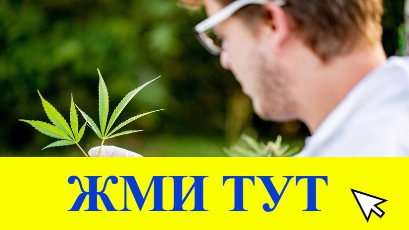 Купить наркотики в Таштаголе